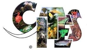 CITES - mezinárodní ochrana rostlin a živočichů